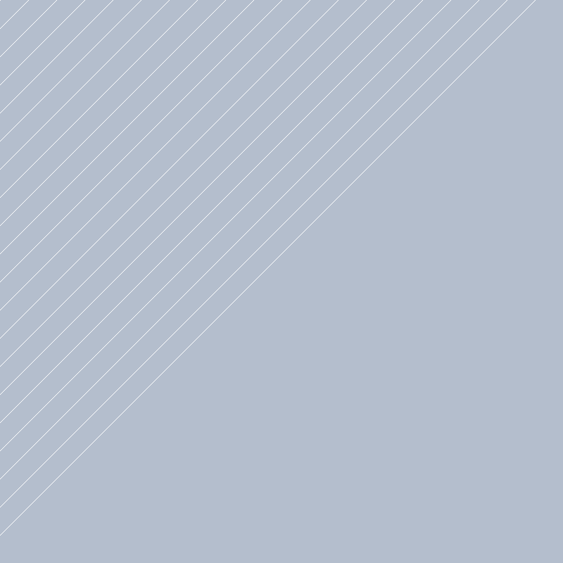 Template preview