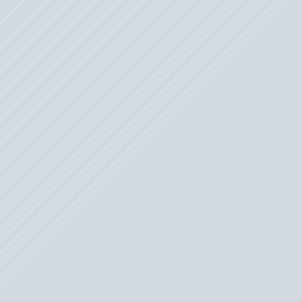 Template preview